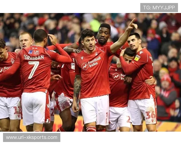 纽卡斯尔4-1客胜埃弗顿,佳夫头球双响